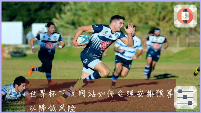 世界杯下注网站如何合理安排预算以降低风险