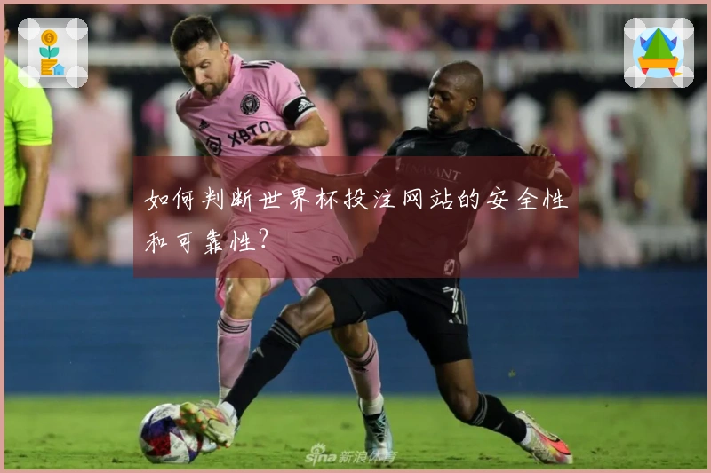如何判断世界杯投注网站的安全性和可靠性？