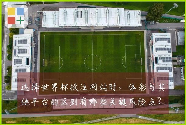 选择世界杯投注网站时,体彩与其他平台的区别有哪些关键风险点?