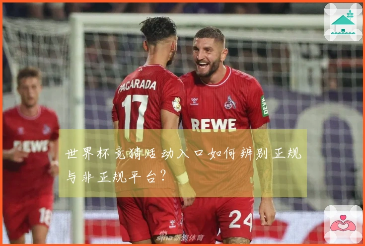 世界杯竞猜活动入口如何辨别正规与非正规平台？