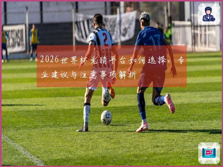 2026世界杯竞猜平台如何选择，专业建议与注意事项解析