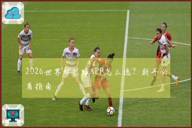 2026世界杯买球APP怎么选？新手必看指南