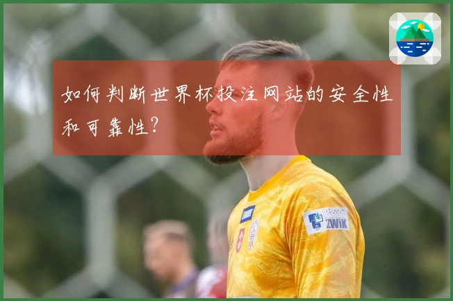 如何判断世界杯投注网站的安全性和可靠性？