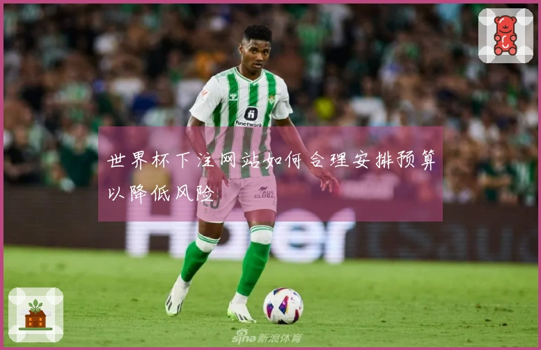 世界杯下注网站如何合理安排预算以降低风险