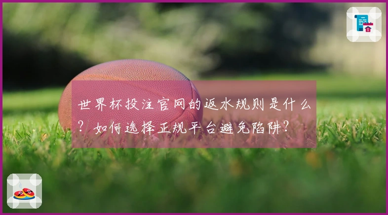 世界杯投注官网的返水规则是什么?如何选择正规平台避免陷阱?