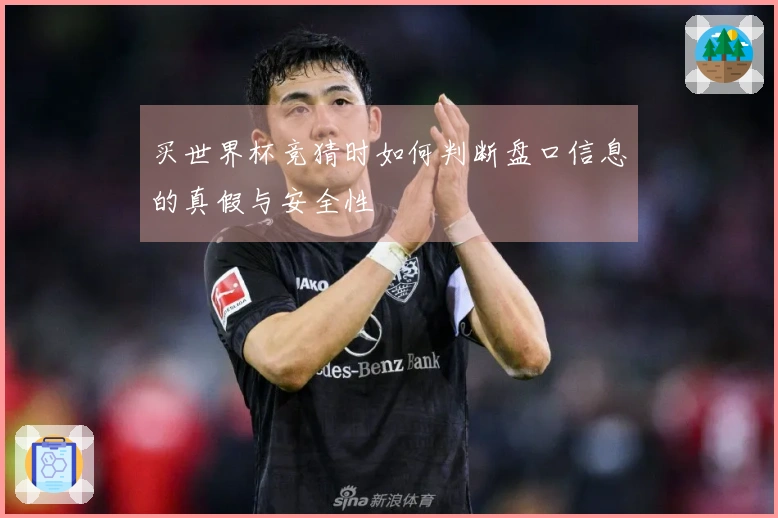 买世界杯竞猜时如何判断盘口信息的真假与安全性