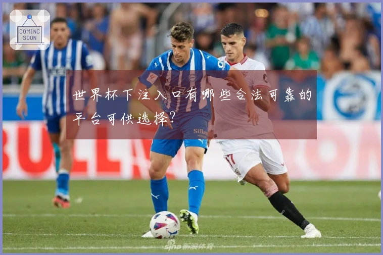 世界杯下注入口有哪些合法可靠的平台可供选择？