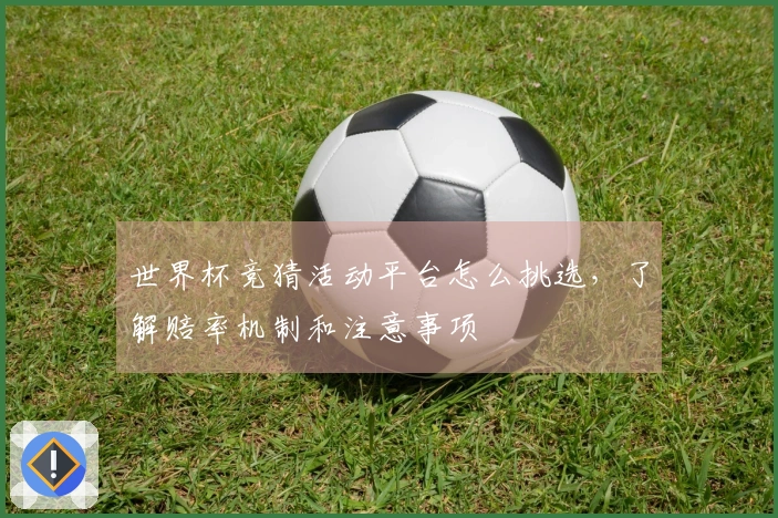 世界杯竞猜活动平台怎么挑选，了解赔率机制和注意事项