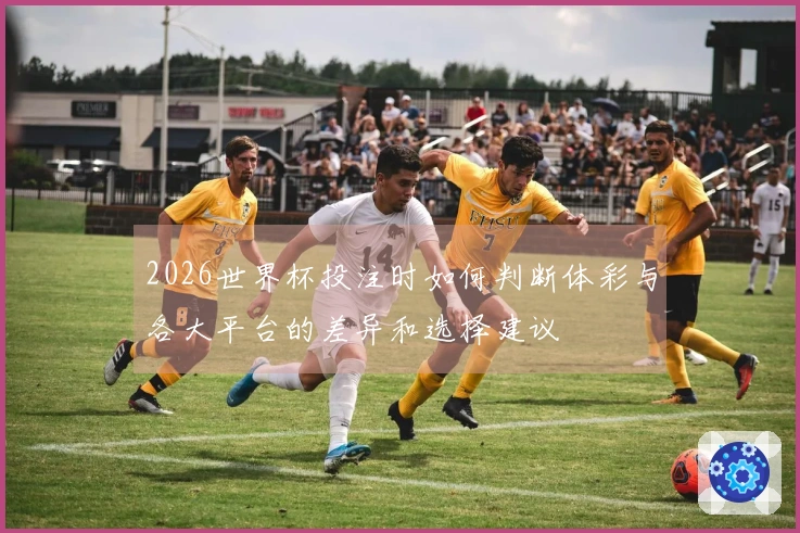2026世界杯投注时如何判断体彩与各大平台的差异和选择建议