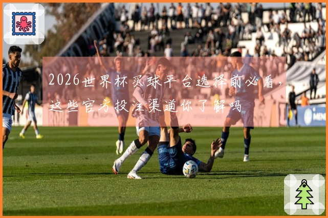 2026世界杯买球平台选择前必看，这些官方投注渠道你了解吗