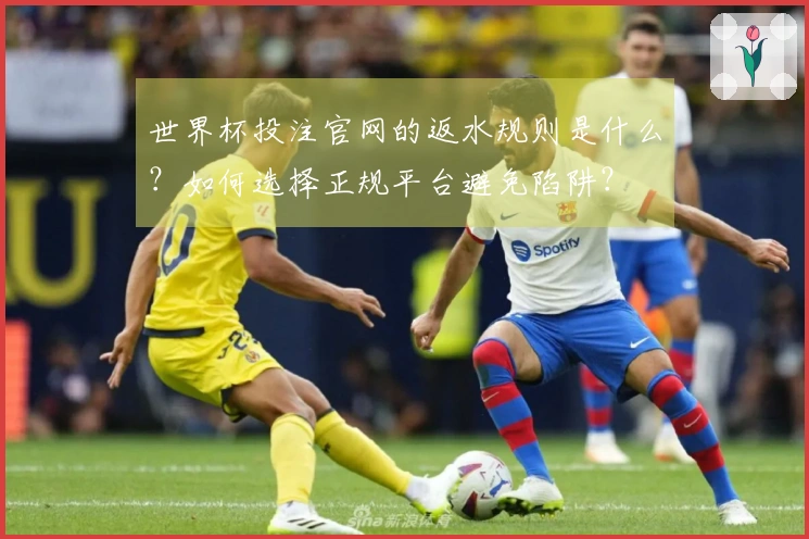 世界杯投注官网的返水规则是什么？如何选择正规平台避免陷阱？