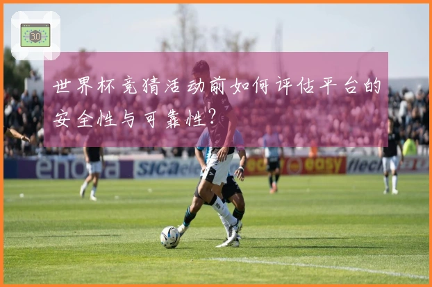 世界杯竞猜活动前如何评估平台的安全性与可靠性？