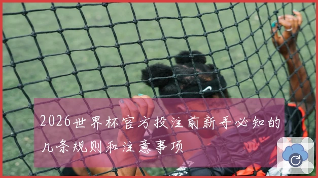 2026世界杯官方投注前新手必知的几条规则和注意事项