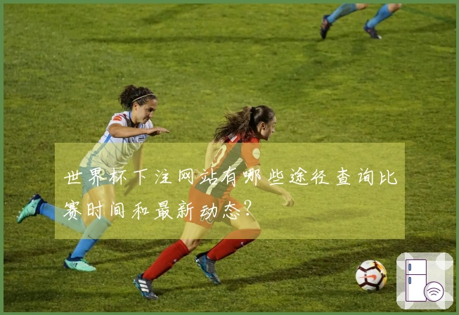 世界杯下注网站有哪些途径查询比赛时间和最新动态？