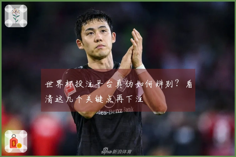 世界杯投注平台真伪如何辨别？看清这几个关键点再下注