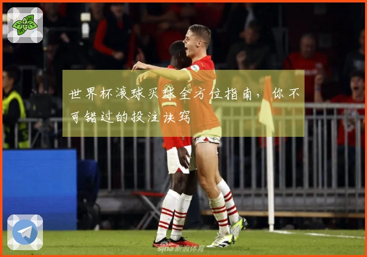 世界杯滚球买球全方位指南，你不可错过的投注诀窍