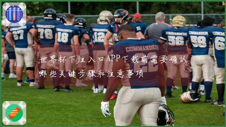 世界杯下注入口APP下载前需要确认哪些关键步骤和注意事项