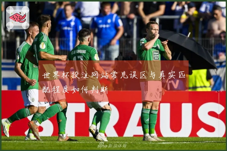 世界杯投注网站常见误区与真实匹配程度如何判断