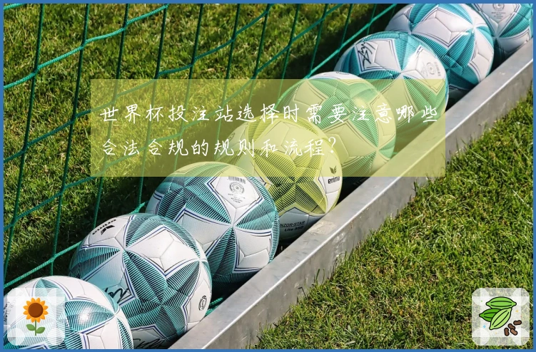 世界杯投注站选择时需要注意哪些合法合规的规则和流程？