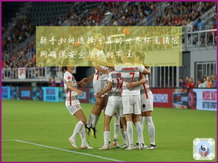 新手如何选择可靠的世界杯竞猜官网确保安全与顺利下注