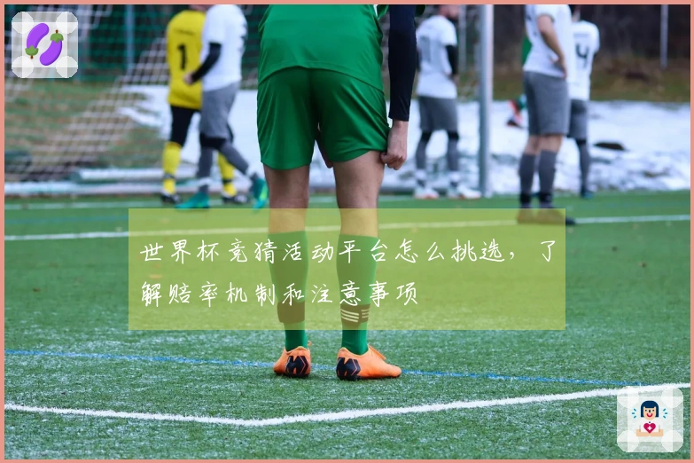 世界杯竞猜活动平台怎么挑选，了解赔率机制和注意事项