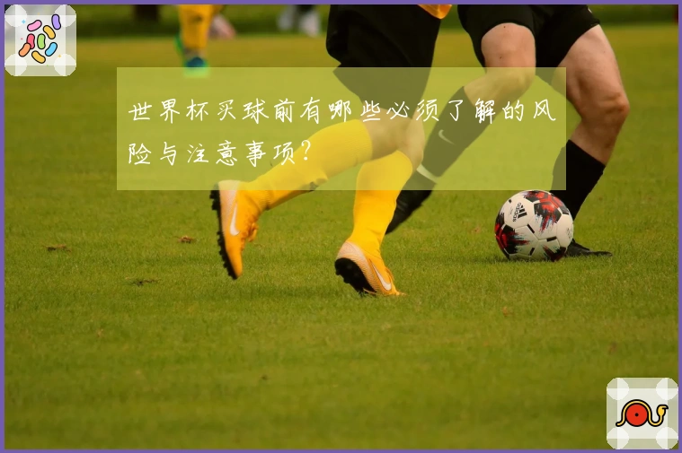 世界杯买球前有哪些必须了解的风险与注意事项？