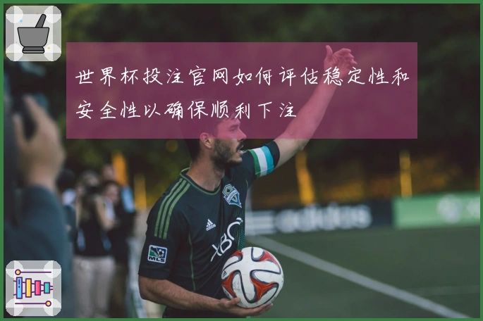 世界杯投注官网如何评估稳定性和安全性以确保顺利下注