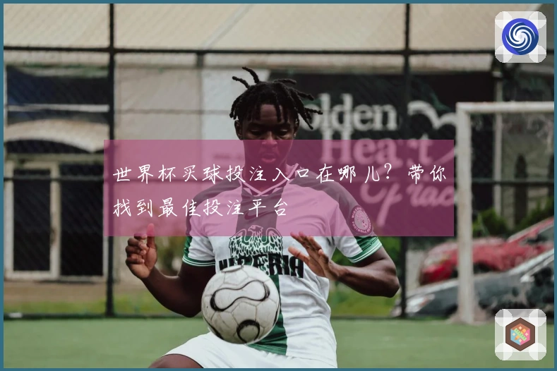 世界杯买球投注入口在哪儿？带你找到最佳投注平台