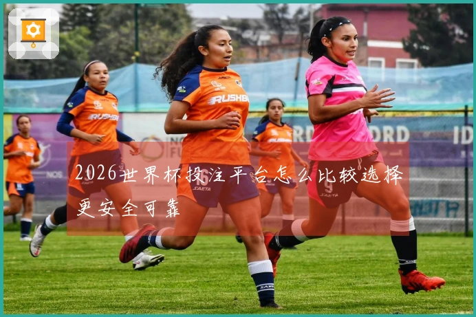 2026世界杯投注平台怎么比较选择更安全可靠