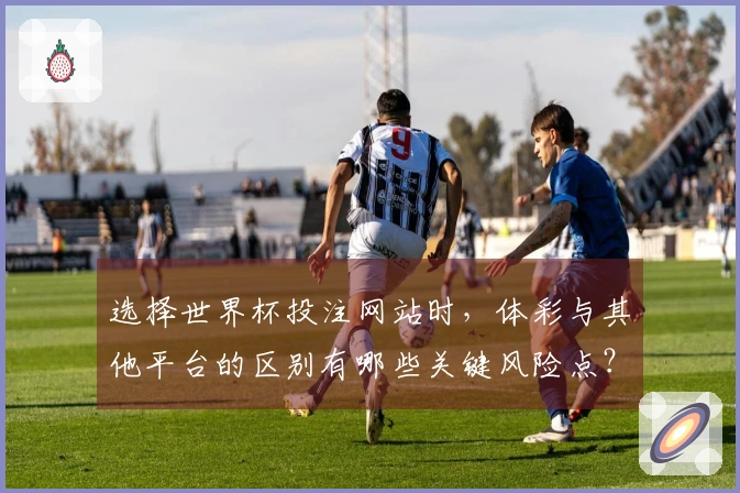 选择世界杯投注网站时，体彩与其他平台的区别有哪些关键风险点？