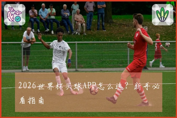 2026世界杯买球APP怎么选？新手必看指南
