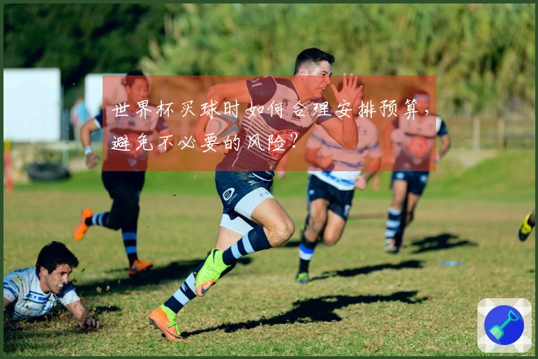 世界杯买球时如何合理安排预算，避免不必要的风险？
