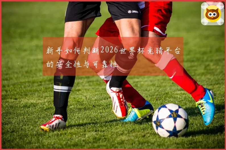 新手如何判断2026世界杯竞猜平台的安全性与可靠性