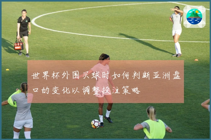 世界杯外围买球时如何判断亚洲盘口的变化以调整投注策略